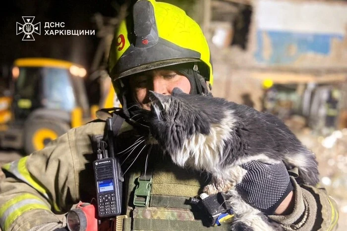 Rescued fluffball in Kharkiv