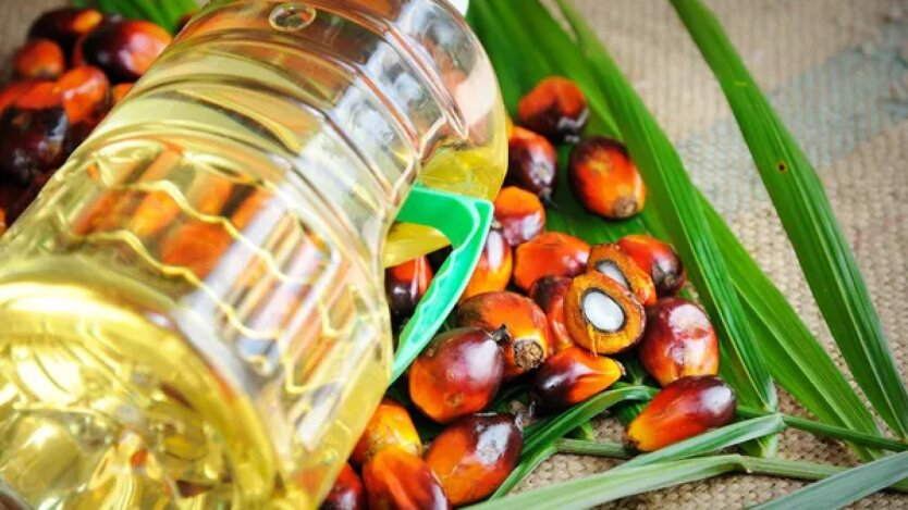 Banned oil on store shelves
