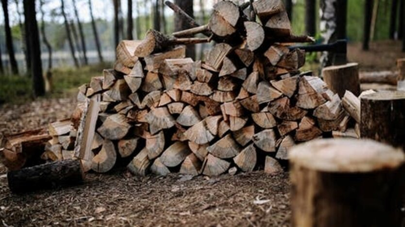 Ukrainians prohibited from taking firewood