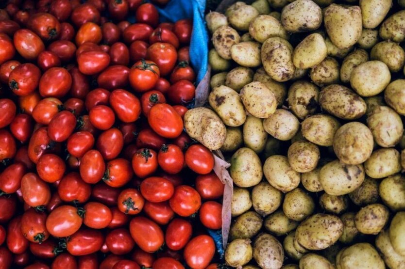 Dreimal billiger: In der Ukraine sind die Preise für junge Kartoffeln gefallen, wie viel kosten die Tomaten