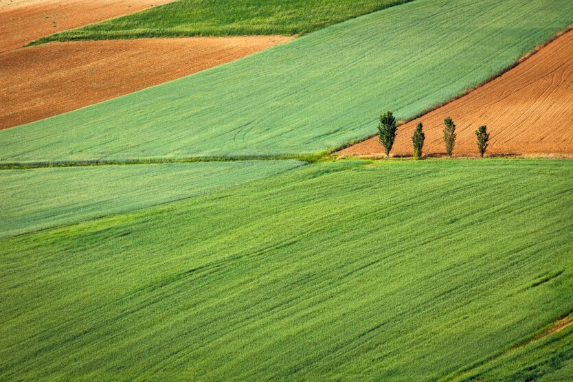 Subletting state land: how much Ukrainians pay per hectare