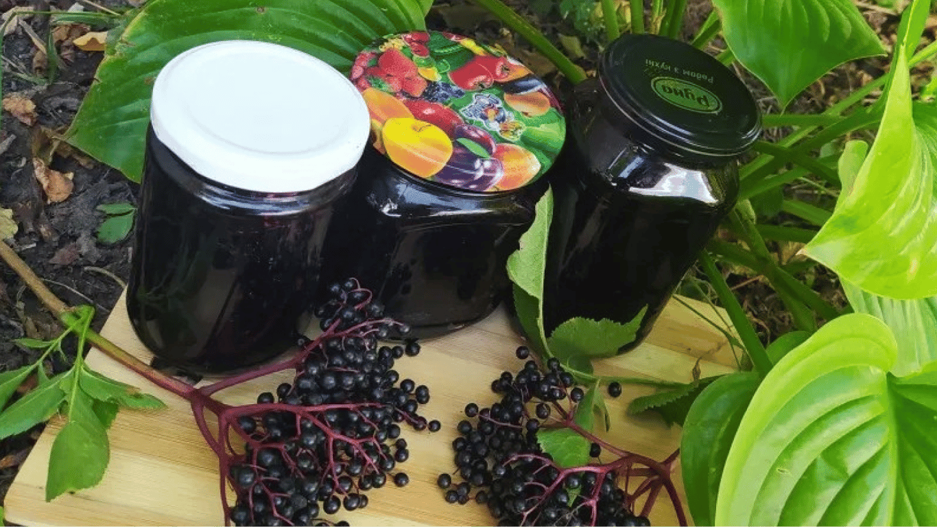 Elderberry Jam - A Recipe for a Healthy Harvest